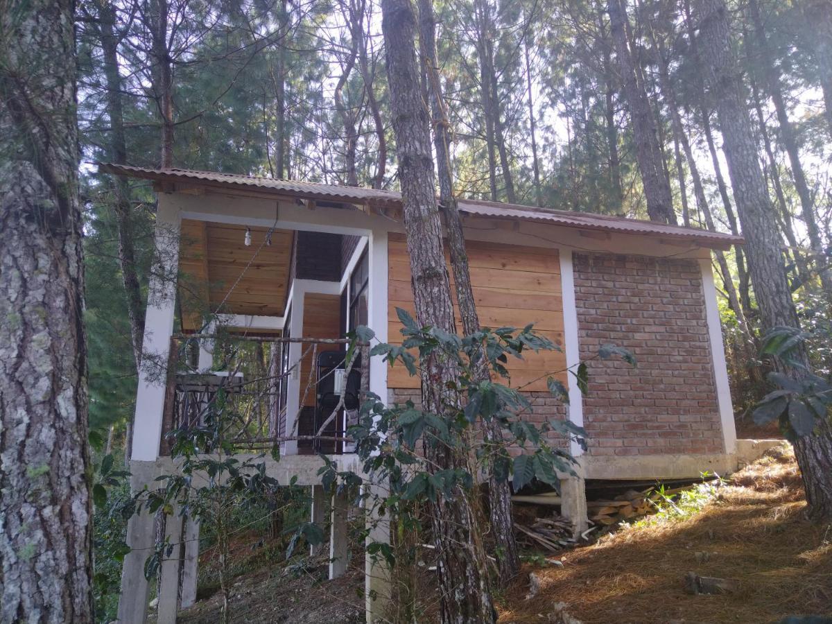 Cabanas Junkolal Tziscao Santiago  Szoba fotó